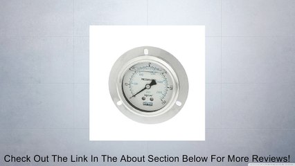 1/4"PT Axis 0-2000psi 150kg/cm2 Y-60 Model Oil Filled Pressure Gauge Review