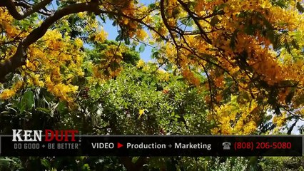 KENDUIT Demo Reel - Video Production & Marketing