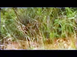 Must watch! Never Give up  Inspirational video