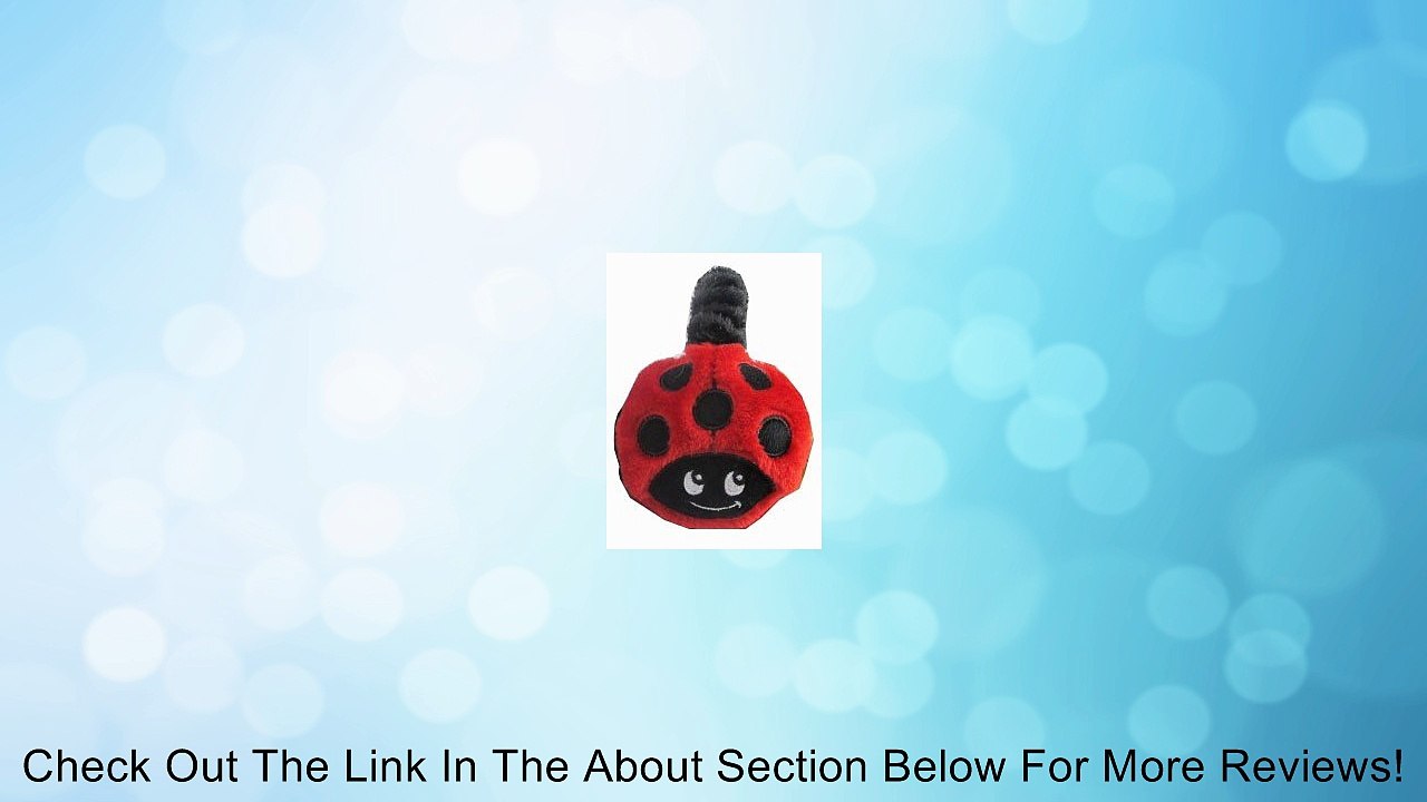 Animal Earmuffs Skull Ladybug Cat Hello Kitty Ear Muffs Review