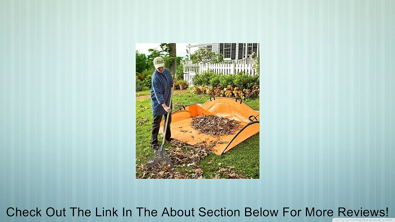 Ez Leaf Hauler Review