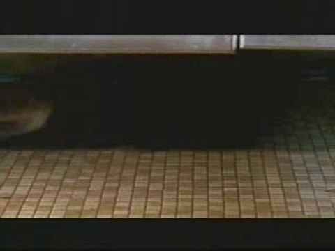 Dipset - Crunk music