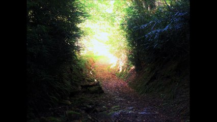 Is There Something That Needs to be Said ? (Lyrics by Michele Buchanan)