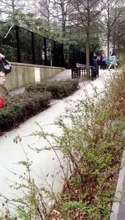 [+18 ~ Sexy Funny Girl]Jump over bush almost break his back