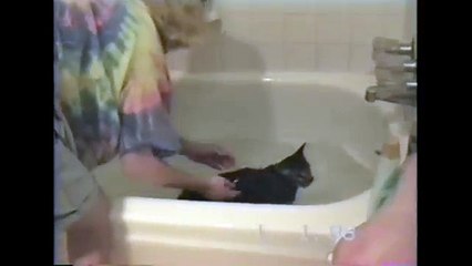 [+18 ~ Sexy Funny Girl]Cat Bath Fail
