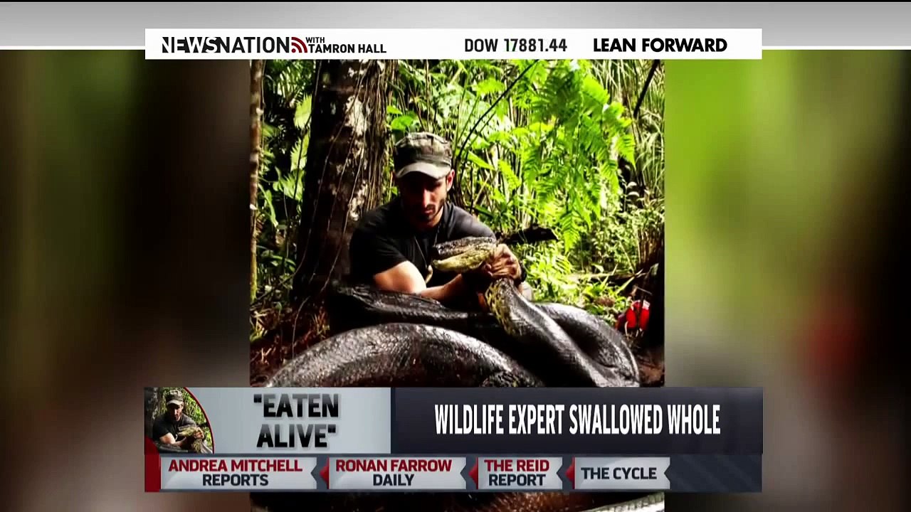 Paul Rosolie 'Eaten Alive' VIDEO: The Moment a Man Gets Swallowed by a Giant Anaconda