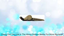Hand-crafted Snail shaped Wooden Doorstop with Batik Motives Review