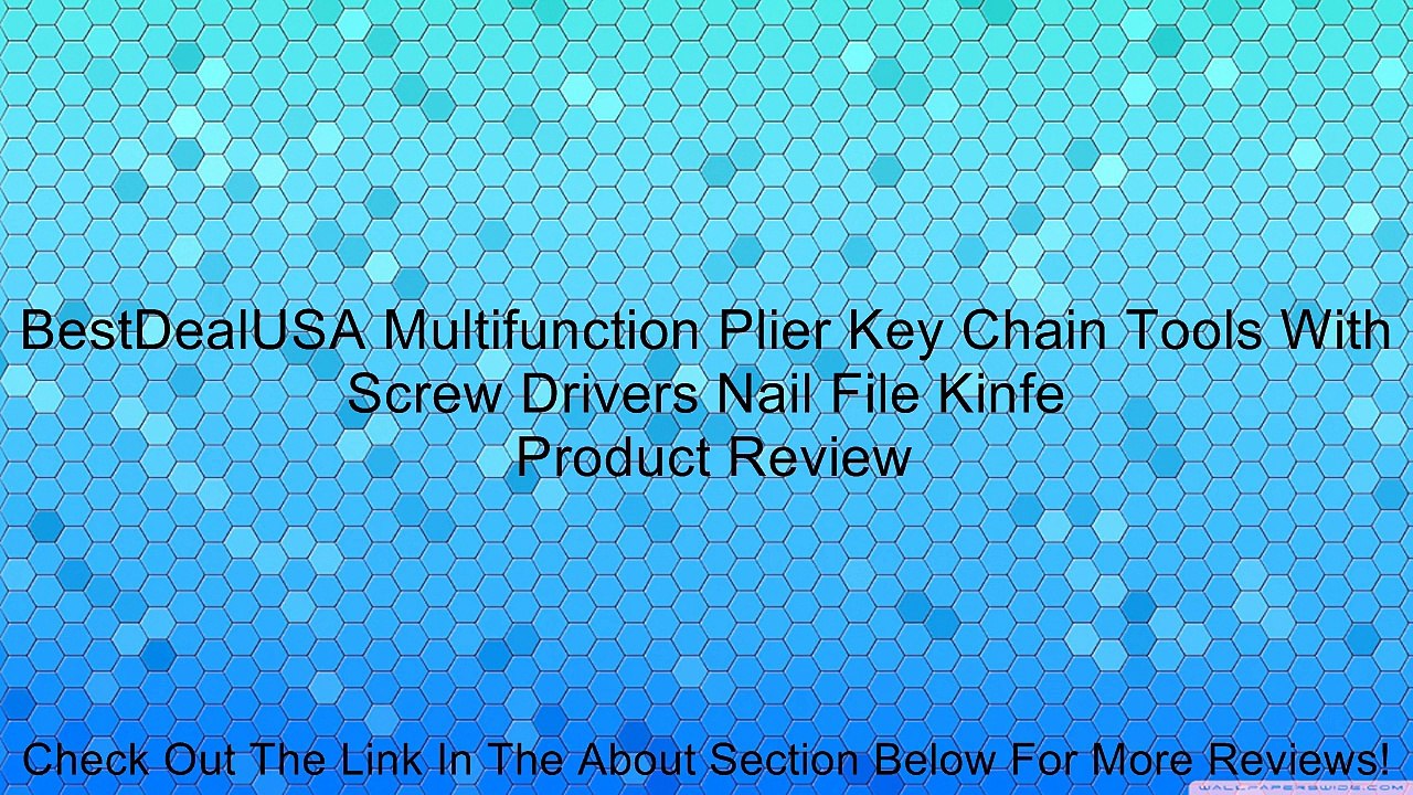 BestDealUSA Multifunction Plier Key Chain Tools With Screw Drivers Nail File Kinfe Review