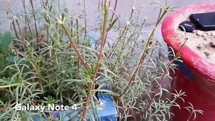 Samsung Galaxy Note 4 vs iPhone 6 1080p Camera Test HD