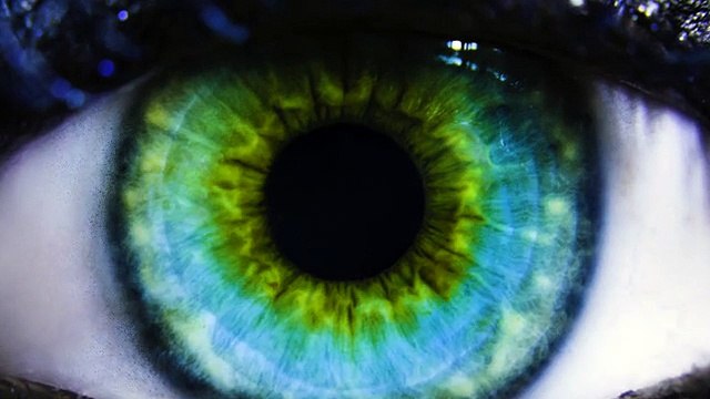 Celle qui murmurait à l'oreille des requins, un merveilleux ballet aquatique