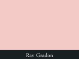Rabbi Gradon | Gradon Rabbi | Rav Gradon