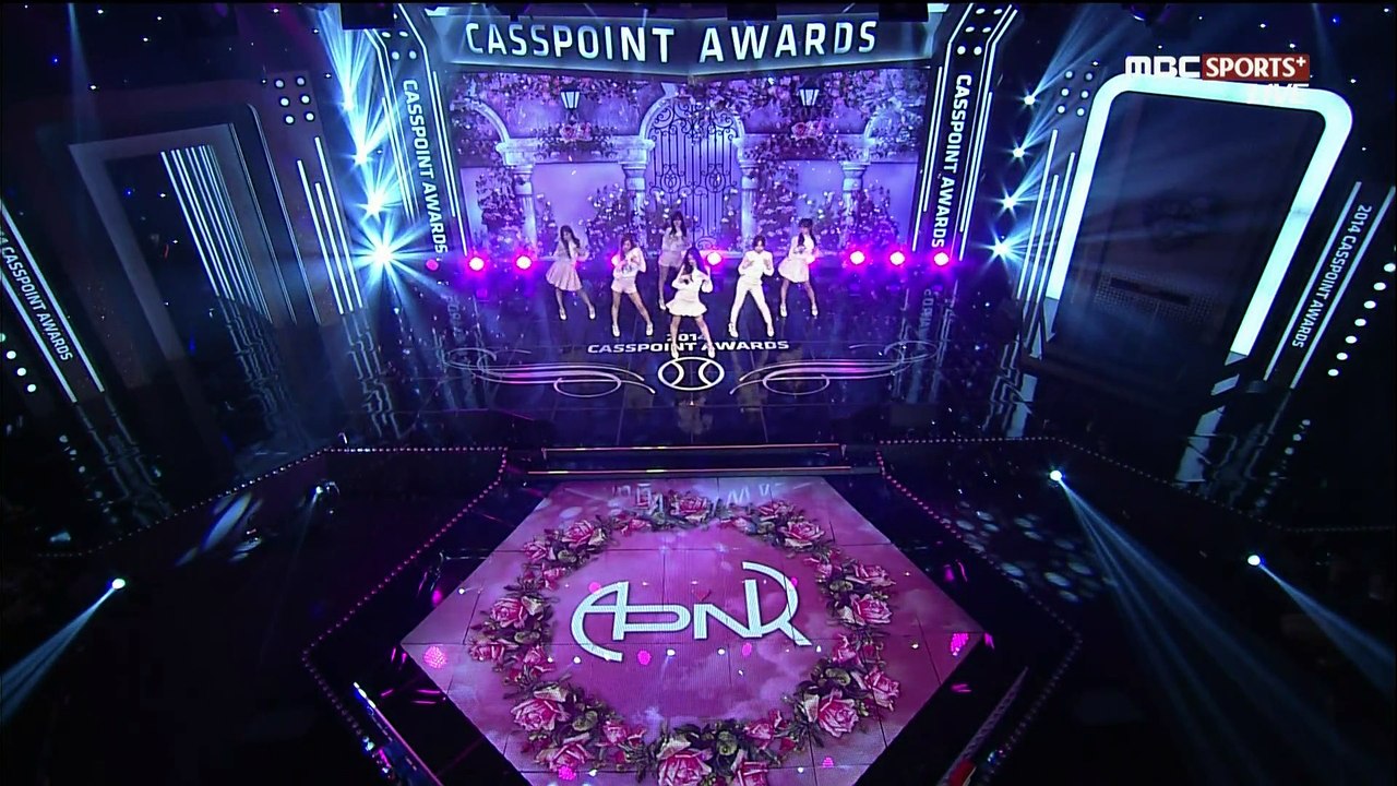 141208 Casspoint Awards Apink - LUV