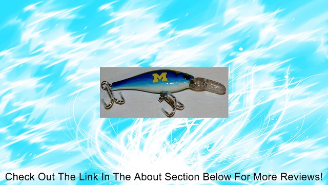 NCAA Officially Licensed University of Michigan Wolverines Sports Collector's Series Minnow Fishing Lure Review