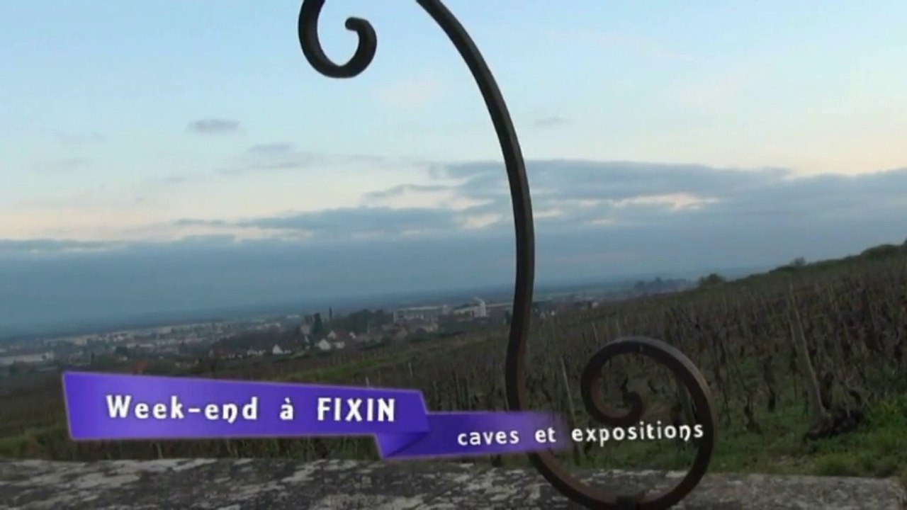 W E Caves ouvertes et EXPOS