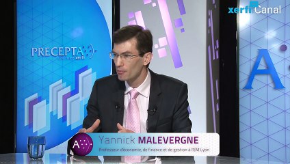 Yannick Malevergne, Xerfi Canal De l'incident infime au risque extrême