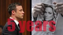 Oscar Pistorius appeal hearing
