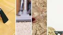 Mr. Holland's Carpet and Upholstery Cleaning (775) 299-3897