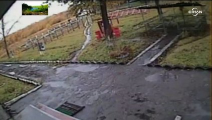 Kışlaya giren ayı askere saldırdı