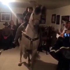 Fête Mexicaine et cheval dans la maison