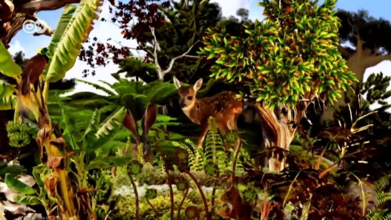 Fiyi: el reto de proteger los bosques | Global 3000