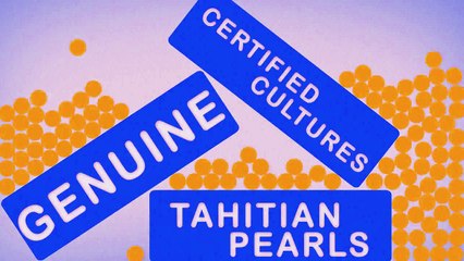 Tahitian - Akoya - Golden South Sea Pearl Necklace