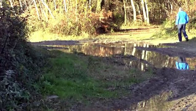 LES COUPS DE COEUR DE MICHOU64 W-D.D. - 7 DECEMBRE 2014 - POUR SES PYRÉNÉES SI BELLES..