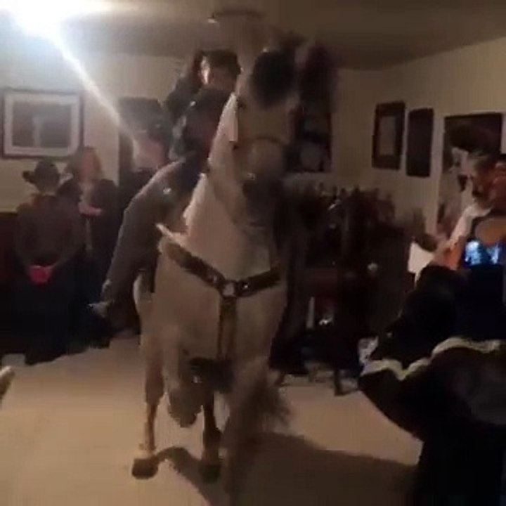Cheval qui danse dans une fête