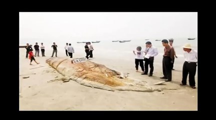 STRANGE unknown CREATURES found on earth!