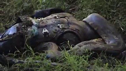 Estrenan documental de hombre que se deja comer por una anaconda