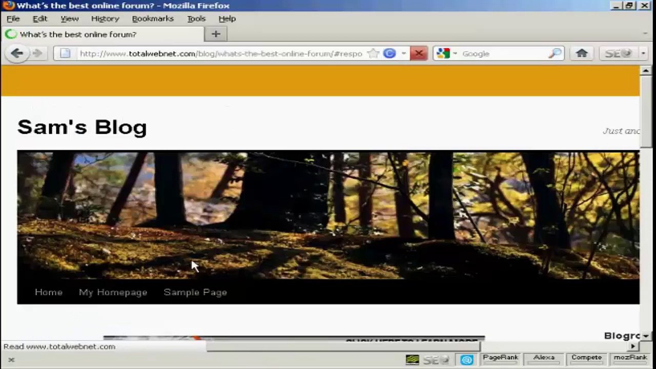 How To Leave A Comment On A Website