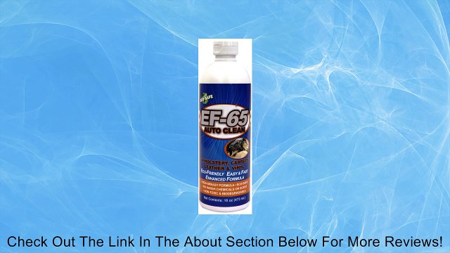 EF-65 (AC-016-01) Heavy Duty Auto Cleaner - 16 oz. Bottle Review
