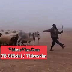 England Main Maulana Fazal Ke Saamne “Go Diesel Go” aur “Shame On You” Ke Naaray Lag Gay_(new)