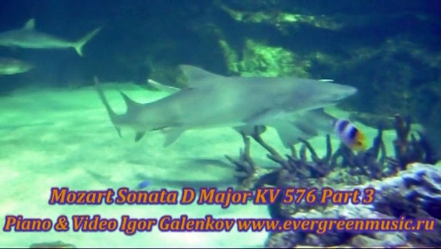 Mozart Sonata D-dur No.18 KV 576 Part 3 & Sydney Aquarium Piano Igor Galenkov