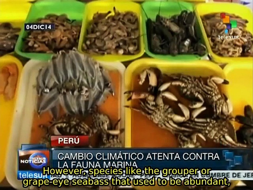 Peru: scientists warn of effects of global warming in world' soceans