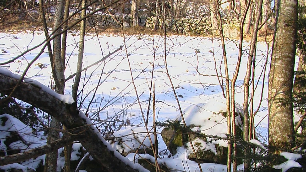 Chanson de Noël des pays Welches