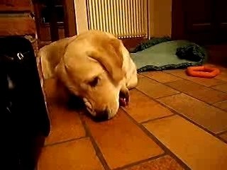 Loola et le trou ....