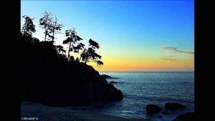 Garota de Ipanema- Rafinha Ficher - cover