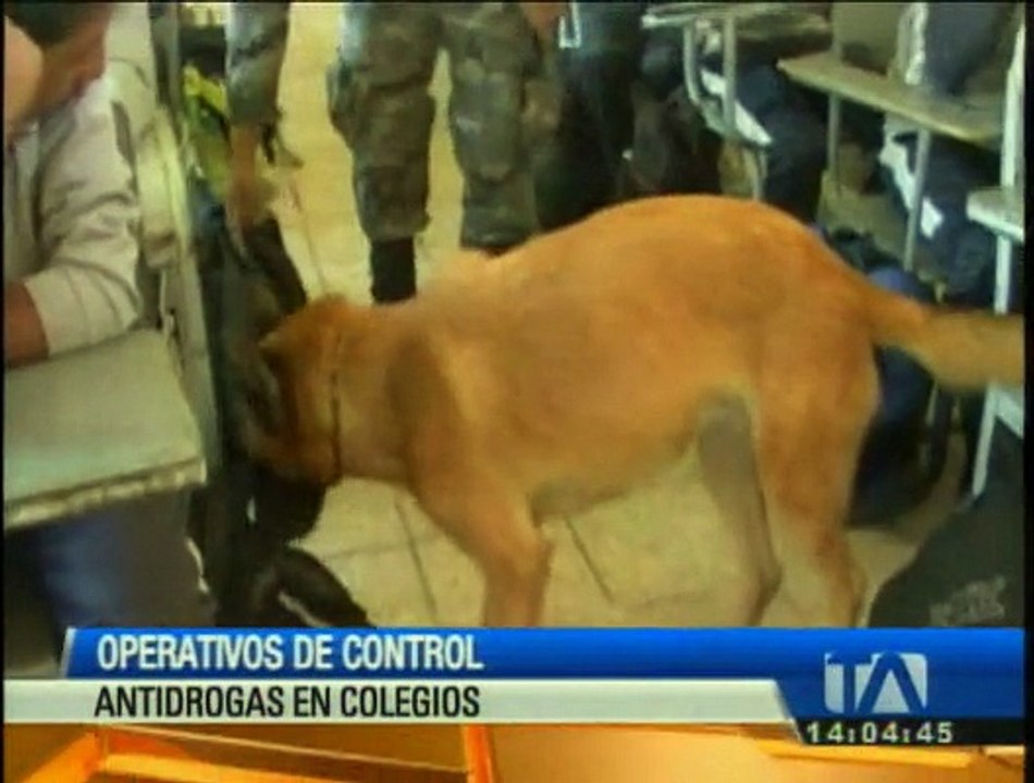 Realizan control antidrogas en colegios