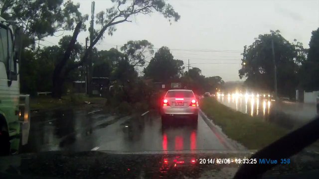 Un éclair tombe sur un arbre à Sidney