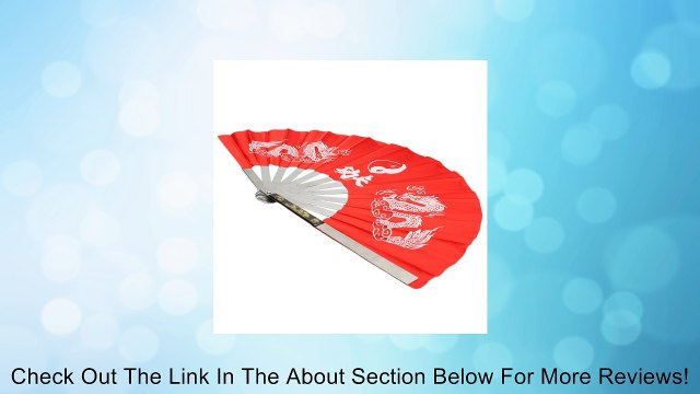 Red Stainless Steel Tai Chi Kung Fu Training Fan With Yin Yang Dragons Design (Ssangyong fan) Review