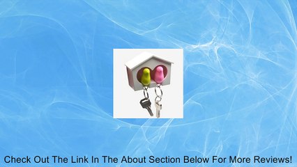 COSMOS White Birdhouse with 2 whistle Sparrow Key Ring Holder (Pink and Green) Review