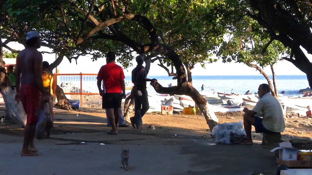 Cultura Latina - Armando Reverón and Peruvian school arts