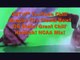 227's™ YouTube Chili' Fiesta Bowl Dragon Movie Stats (QB) Boise State Broncos NCAA Mix!