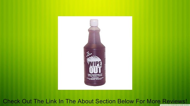 Wipe Out 6012 All Purpose Surface Cleaner for Swimming Pools, 1-Quart Review