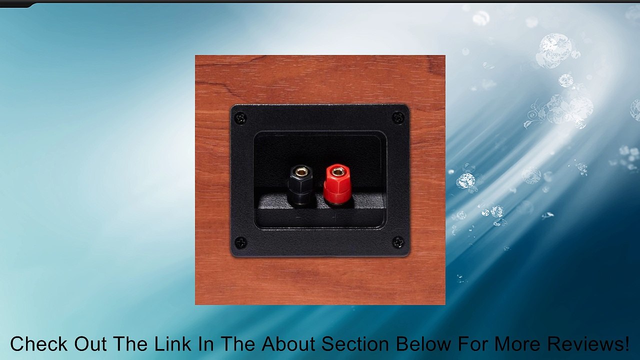 Polk Audio Monitor 25C Two-Way Center Channel Speaker (Single, Cherry) Review