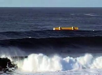 Amazing-Surf into sustainability