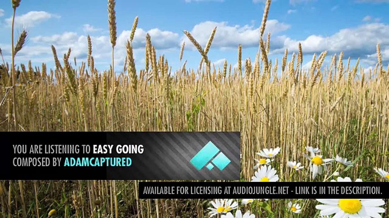 Relaxed And Positive Ukulele Music Royalty Free