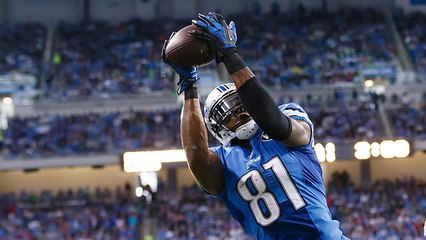 Week 14: Calvin Johnson highlights