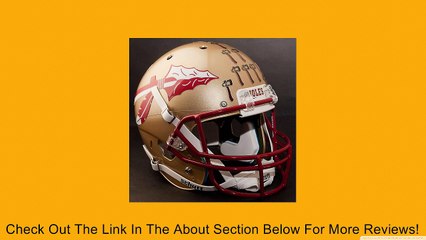 FLORIDA STATE SEMINOLES Football Helmet STICKERS FSU Review