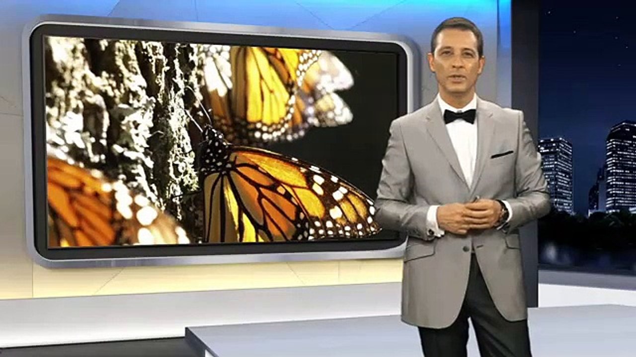 Neler Oldu? 2. Bölüm